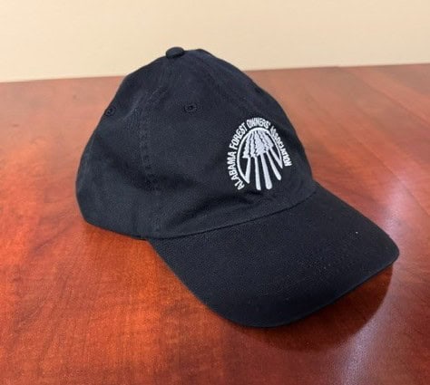 cap - black