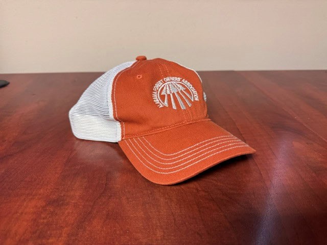 cap meshback - tx orange